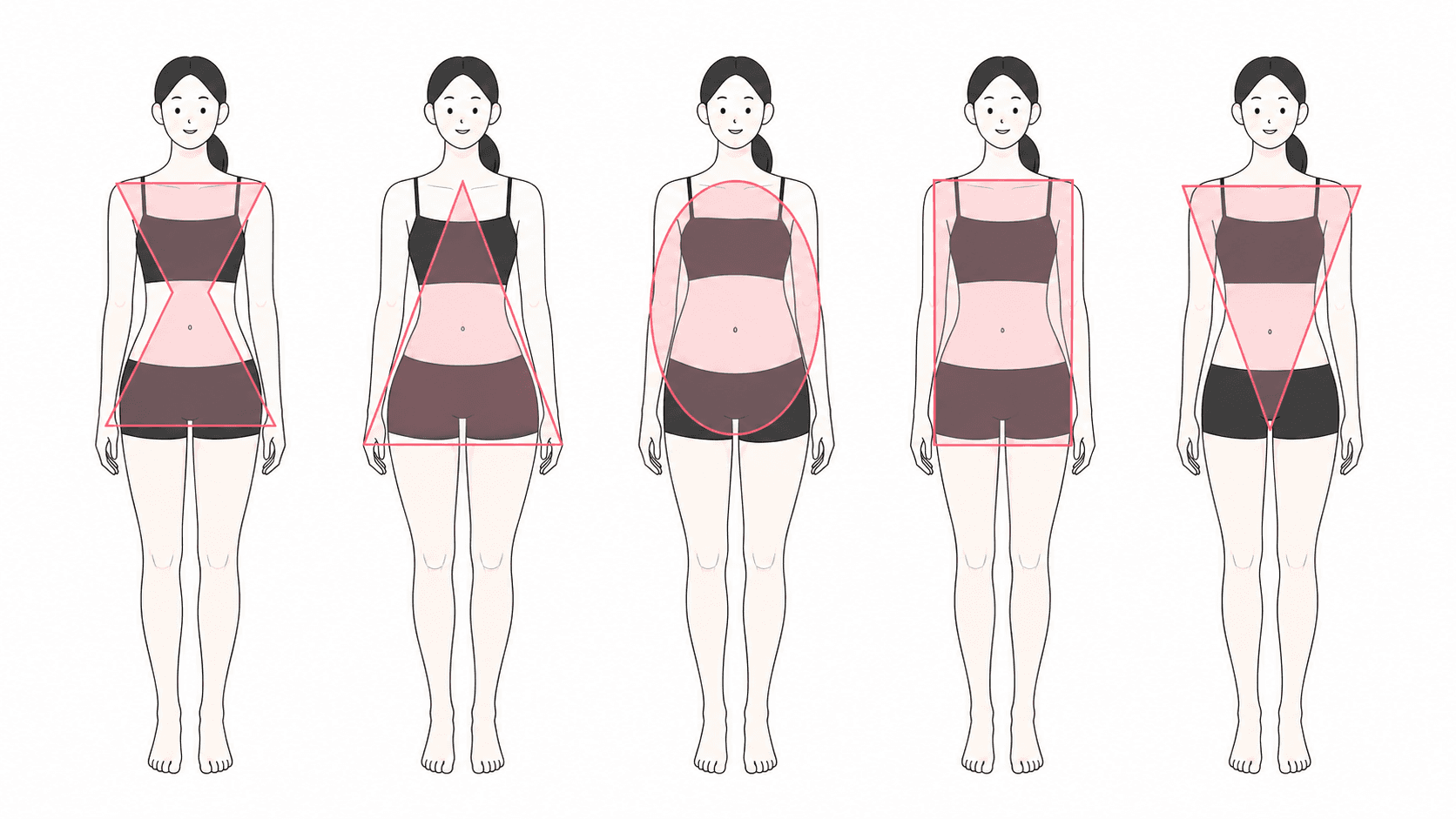 여성 체형 타입 전체 비교